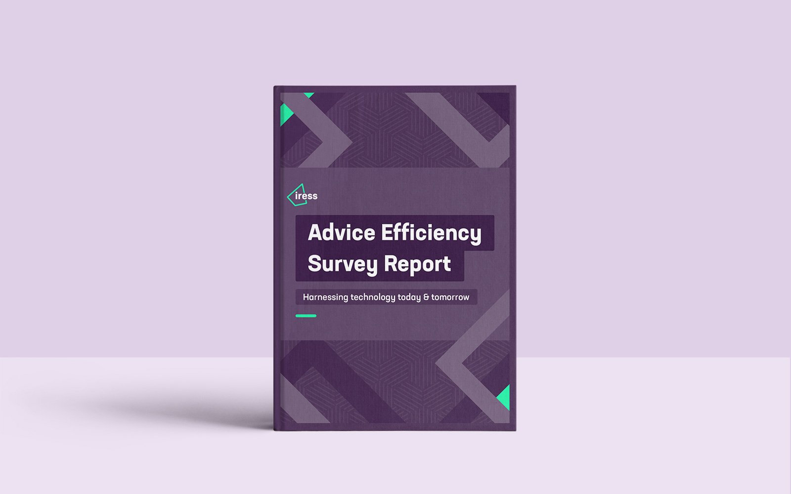 Advice Efficiency Survey Report eBook design